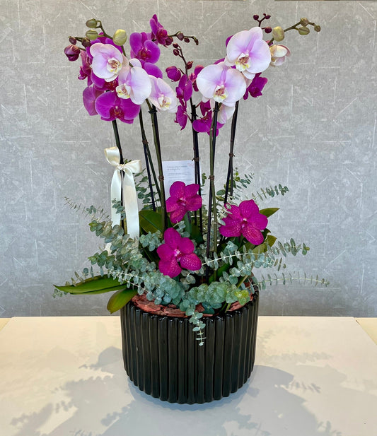 Amada Azcanio Flower Boutique