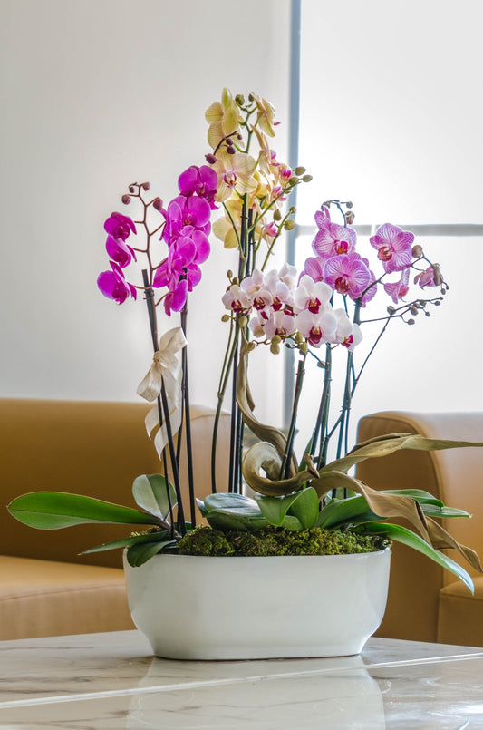 Aurelia Azcanio Flower Boutique