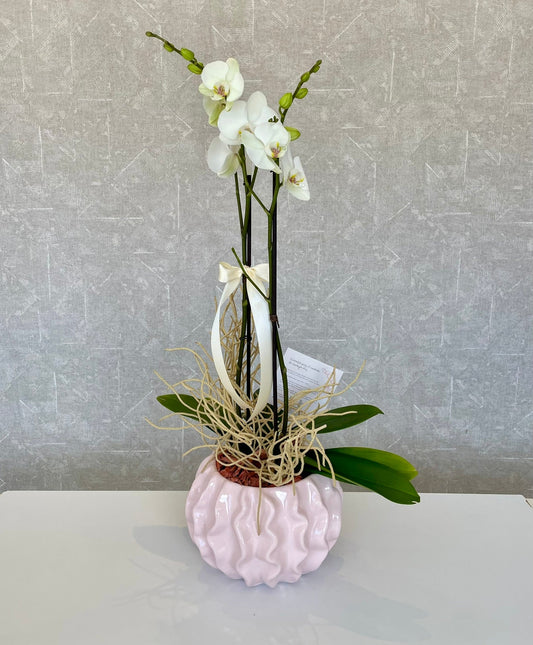 Paris Azcanio Flower Boutique