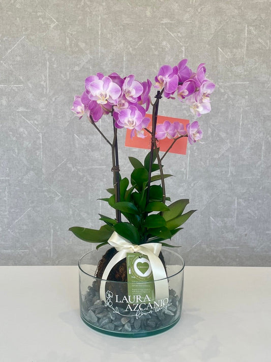 Kokedama de orquídeas Azcanio Flower Boutique
