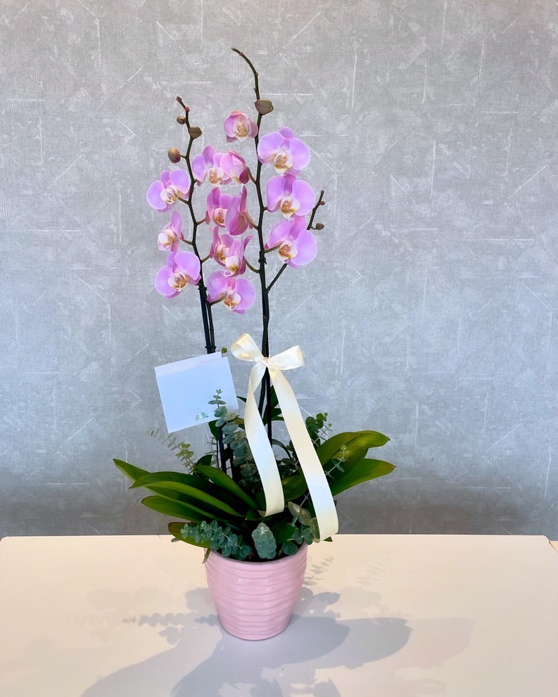 Rosalba  Azcanio Flower Boutique