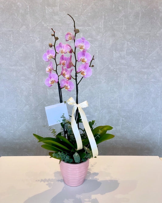 Rosalba  Azcanio Flower Boutique