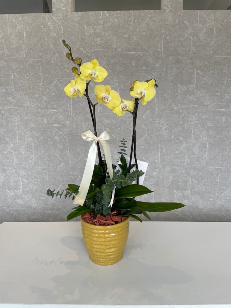Arturo Azcanio Flower Boutique