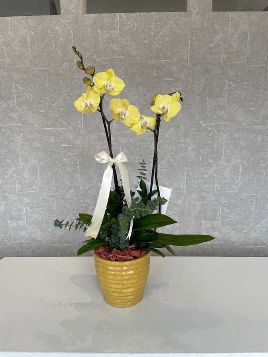 Arturo Azcanio Flower Boutique