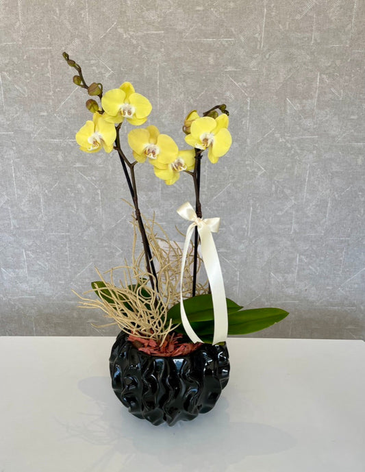 Andy Azcanio Flower Boutique