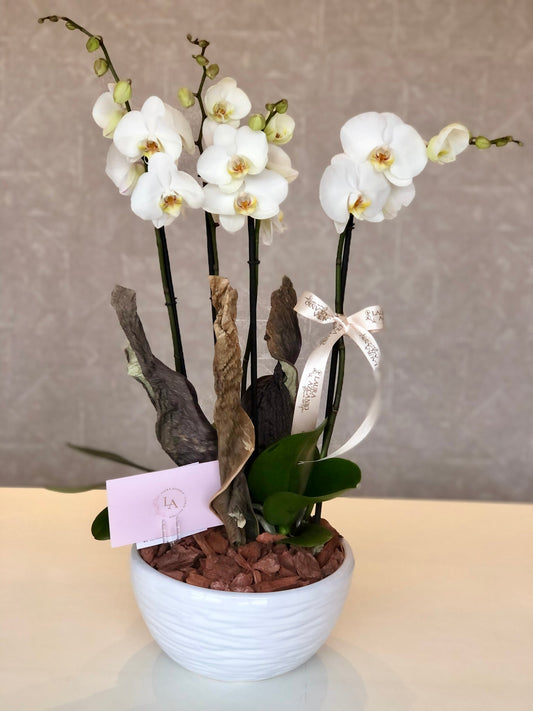 Natalia Azcanio Flower Boutique