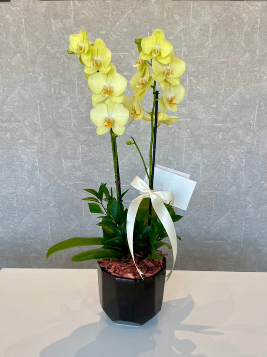 Mariela Azcanio Flower Boutique