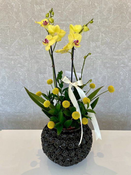 Maria Azcanio Flower Boutique
