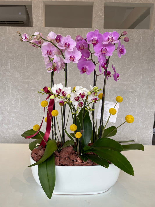 Paola Azcanio Flower Boutique