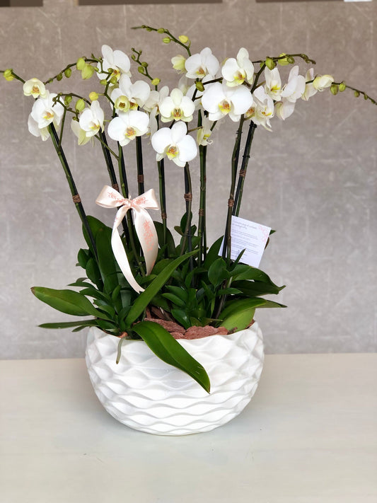 Patricia Azcanio Flower Boutique