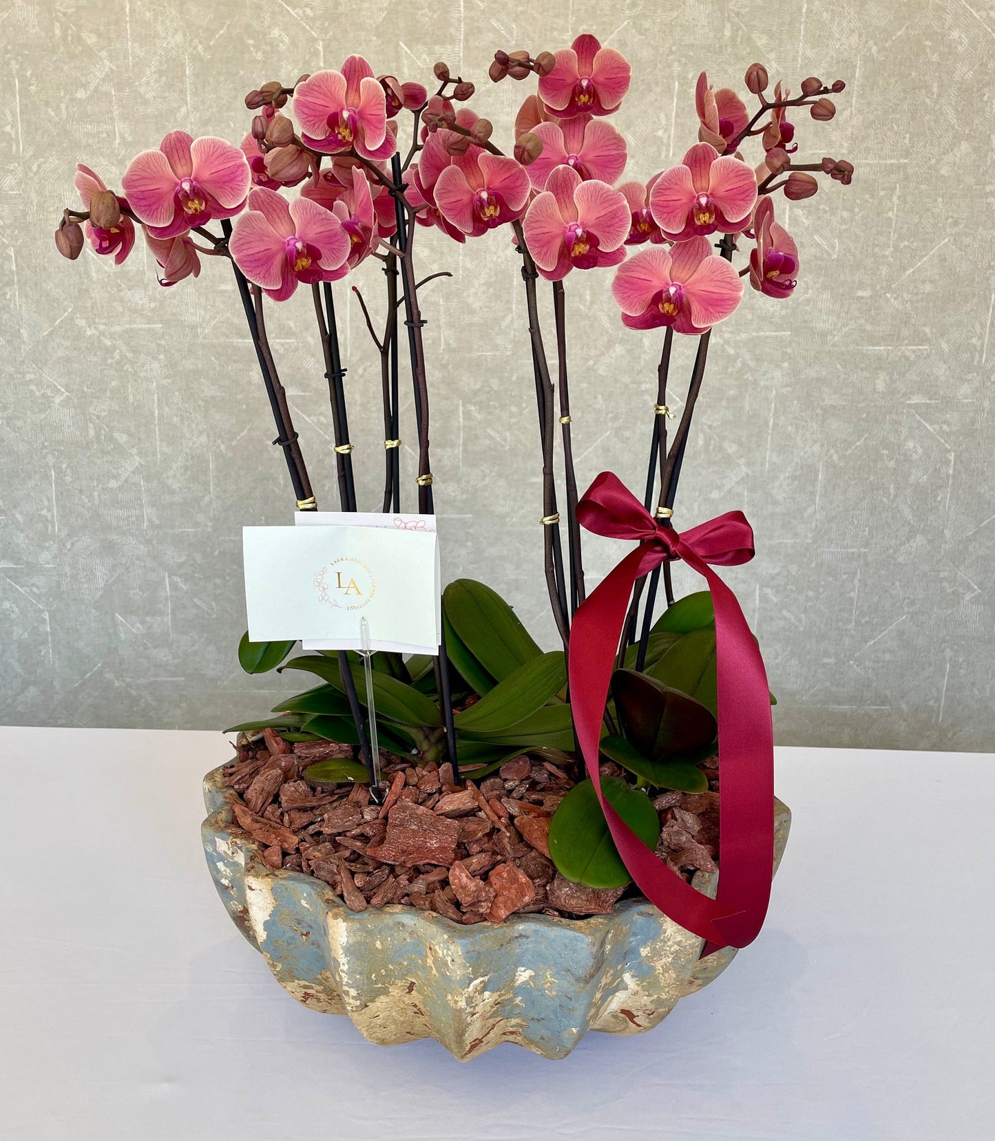 Jardín de Orquídeas Azcanio Flower Boutique