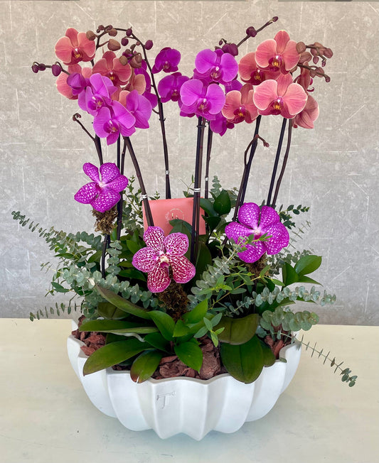 Jardín de Orquídeas Azcanio Flower Boutique